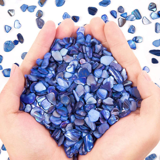 Small Natural Crushed Shells For Crafts About 2LB 900g 31.74oz DIY Beaching Wedding Decoration Vase Fillers