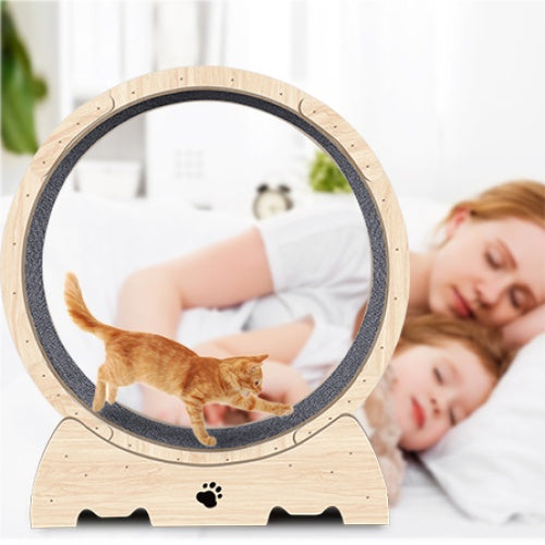 Cat Indoor Cat Exercise Wheel