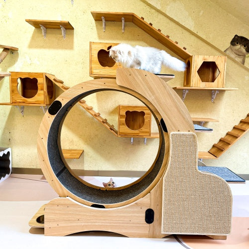 5-in-1 Cat Sports Running Wheel, Cats Wheel Wood Climbing Frame, Cat Litter Fitness Wheel, Oversized Roller Cat Indoor Activity Center,Large
