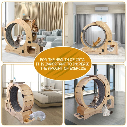 Cat Wheel 6-in-1 Cat Fitness Wheel