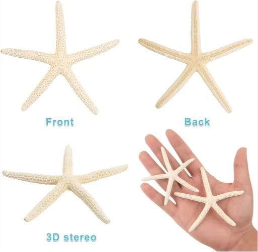 20 PCS 2-4 Inch 4-6 Inch Bulk Natural Real Starfish For DIY Crafts Wedding Beach Christmas Tree Ornaments