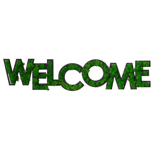 WELCOME Letter Art Moss Wall Decorations