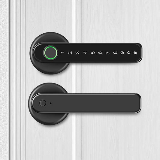 Aoresac Fingerprint Door Lock/Smart Door knob/Biometric Door Lock with passcode keypad keyless/APP Remote Control/Door Handle