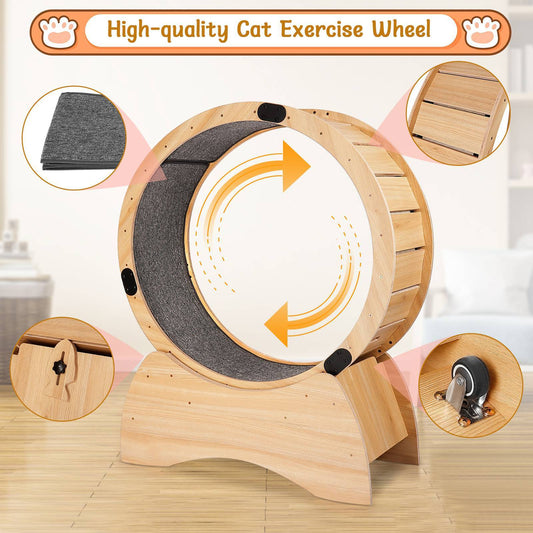 Cat Exercise Wheel Cat Treadmill With Carpeted Runway Kitty Cat Sport Toy